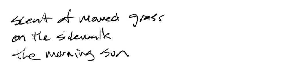 Haiku; scent of mowed grass / on the sidewalk / the morning sun