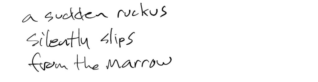 Haiku; a sudden ruckus / silently slips / from the marrrow