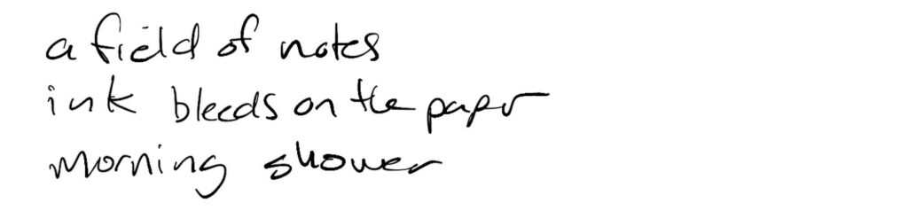 Haiku; a field of notes / ink bleeds on the paper / morning shower