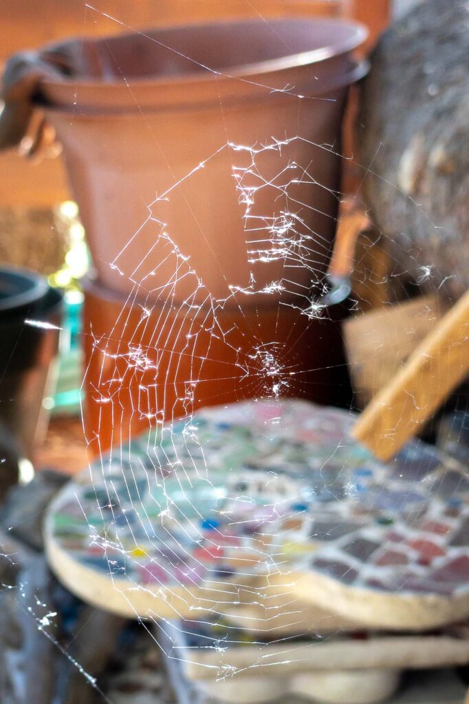 Photograph; A spider web partly lit by the setting sun on a patio with stepping stones and an empty bucket