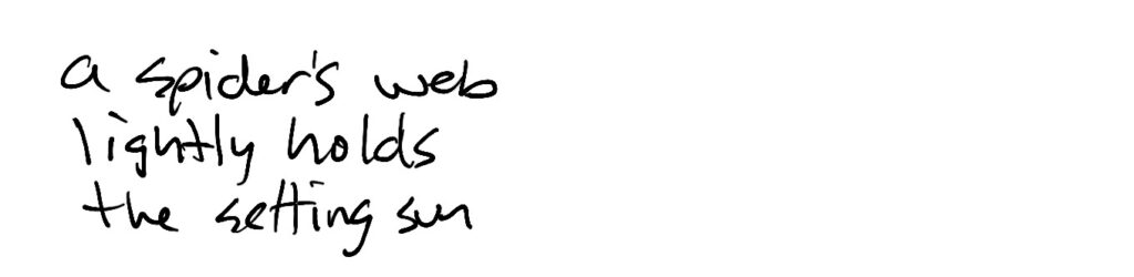 Haiku; a spider’s web / lightly holds / the setting sun