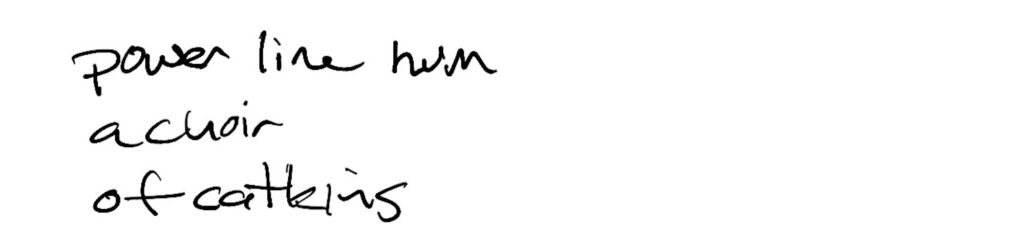 Haiku; power line hum / a choir / of catkins