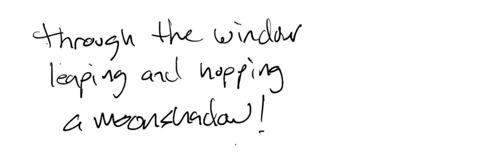 Haiku; through the window / leaping and hopping / a moonshadow!