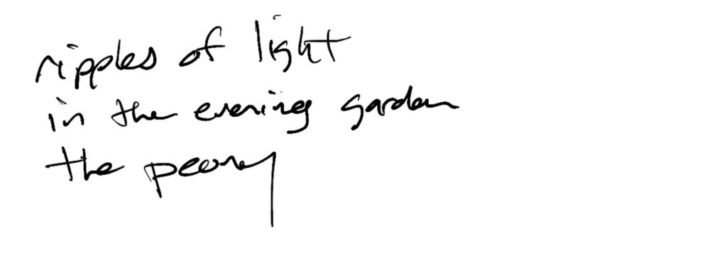Haiku; ripples of light / in the evening garden / the peony