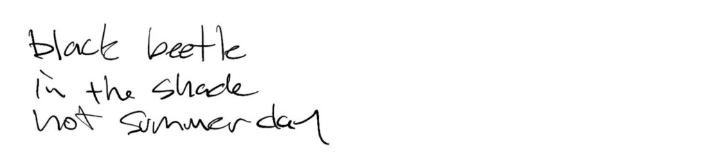 Haiku; black beetle / in the shade / hot summer day