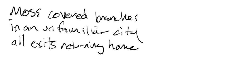 Haiku; moss covered branches / in an unfamiliar city / all exits returning home