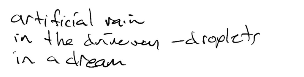 Haiku; artificial rain / in the driveway —droplets / in a dream