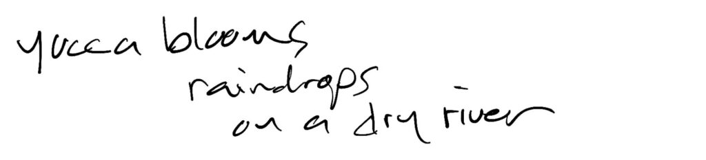 Haiku; Yucca blooms/ raindrops / on a dry river