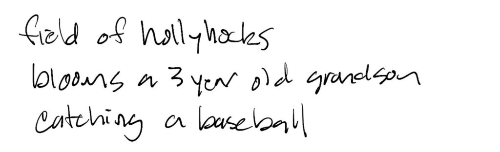 Haiku; field of hollyhocks / blooms a 3 year grandson / catching a baseball