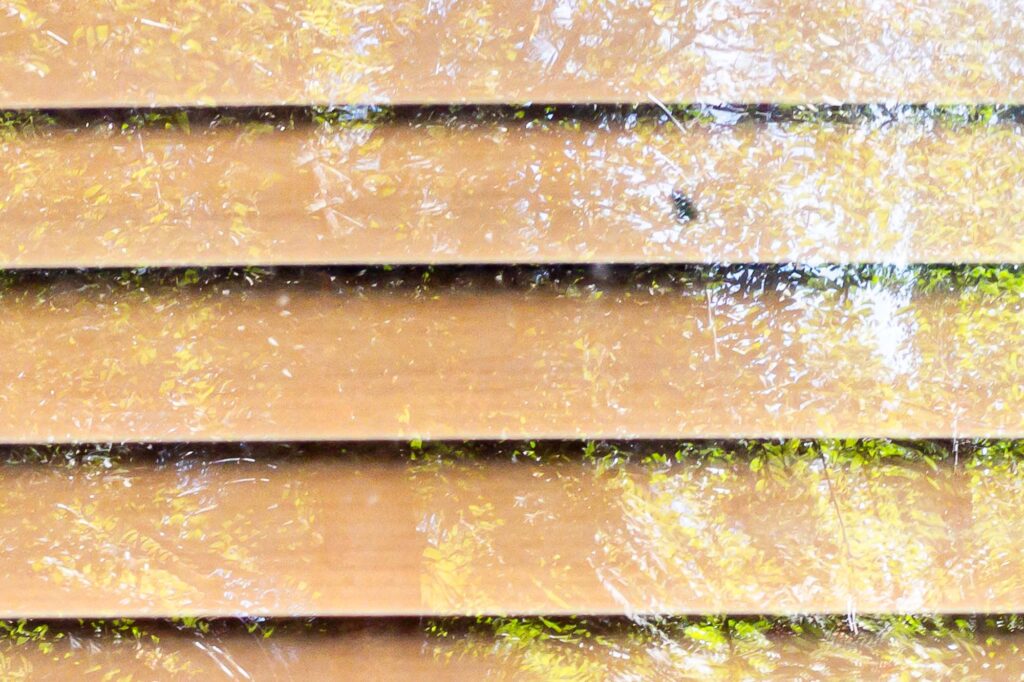Photograph; A fly between the glass and closed blinds with repetitive  reflections of trees and a blue sky.