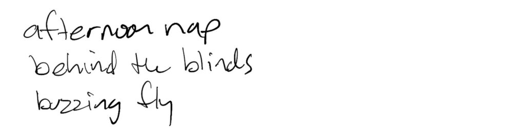 Haiku; afternoon nap / behind the blinds / buzzing fly