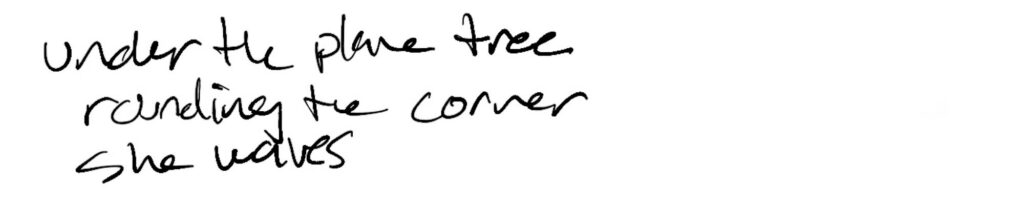 Haiku; under the plain tree / rounding the corner / she waves