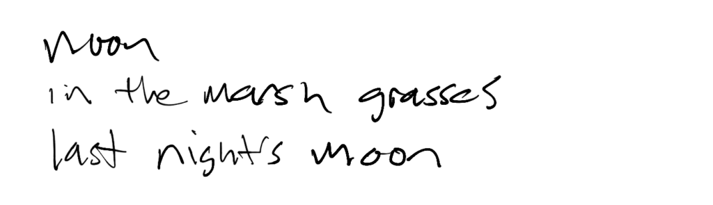 Haiku; noon / in the marsh grasses / last night’s moon