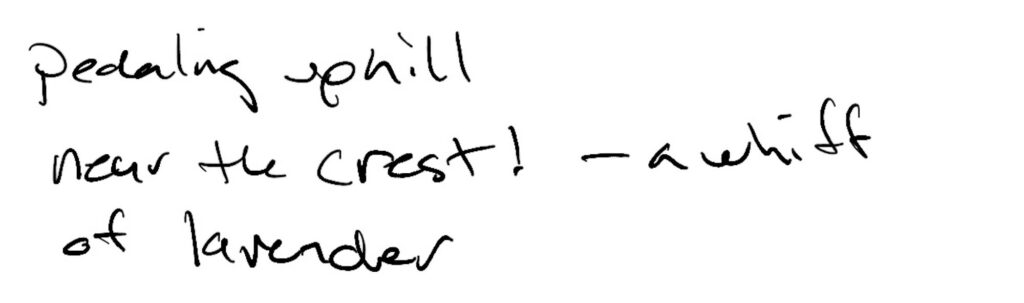 Haiku; pedaling uphill / near the crest! —a whiff / of lavender