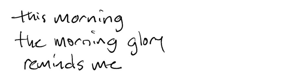 Haiku; this morning / the morning glory / reminds me