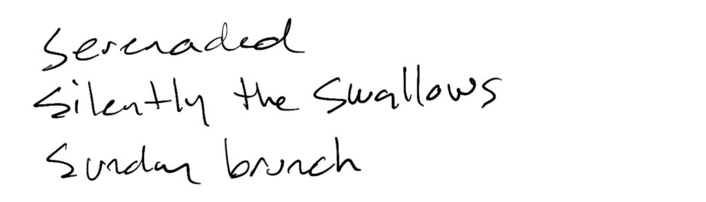 Haiku; serenaded / silently the swallows / Sunday brunch