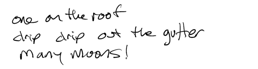 Haiku; one on the roof / drip drip out the gutter/ many moons!