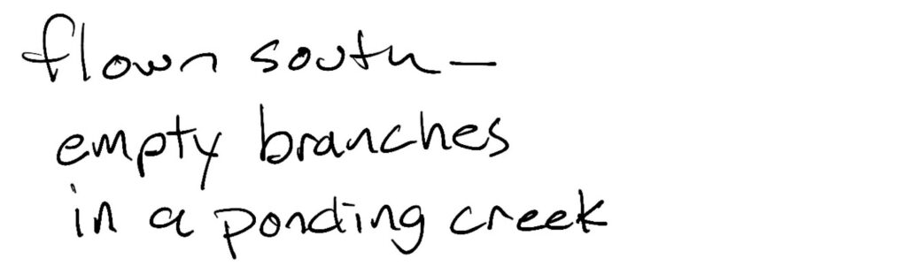 Haiku; flown south— / empty branches / in a ponding creek