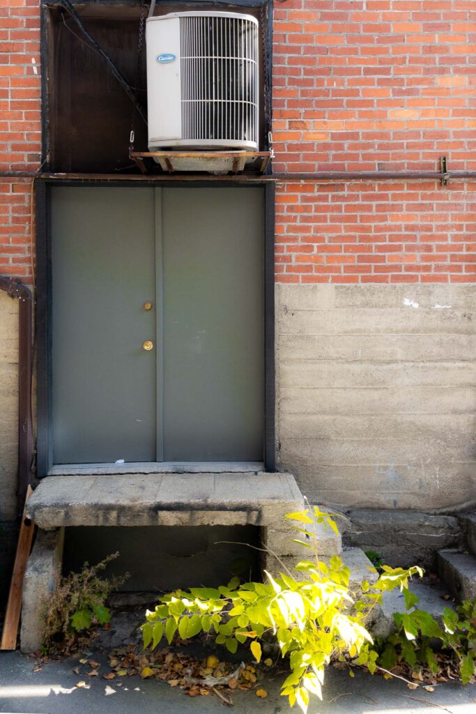 Photograph; at the base of a double door, and a small loading dock in an alley, a hackberry tree grows from a crack in the cement.