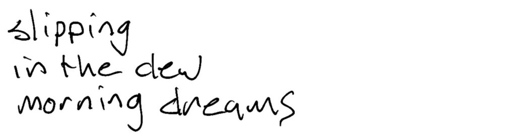 Haiku;  slipping / in the dew/ morning dreams