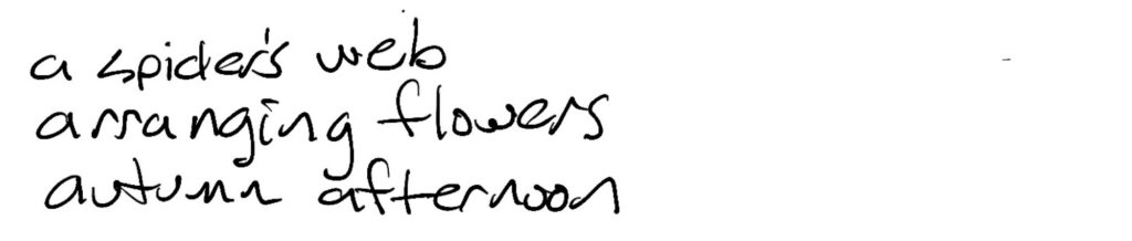 Haiku; a spiders web / arranging flowers / autumn afternoon