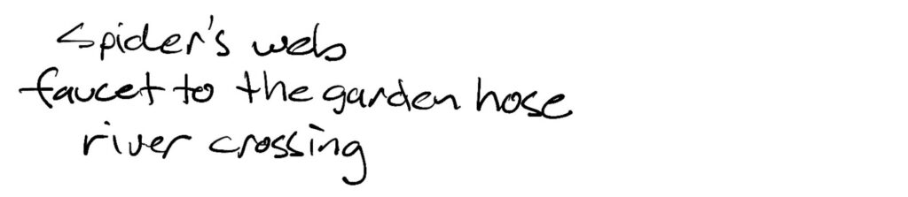Haiku; spider’s web / faucet to the garden hose / river crossing
