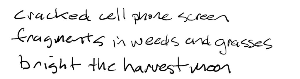 Haiku; cracked cell phone screen /  fragments in weeds and grasses /  bright the harvest moon