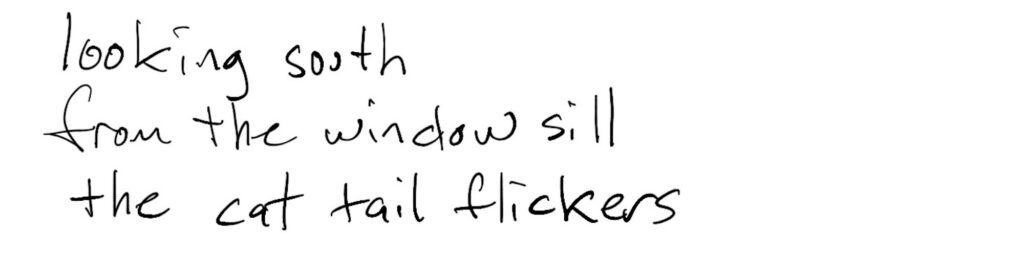 Haiku; looking south / from the windowsill / the cat tail flickers