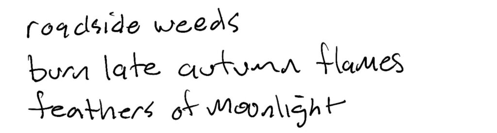 Haiku; roadside weeds / burn late autumn flames / feathers of Moonlight