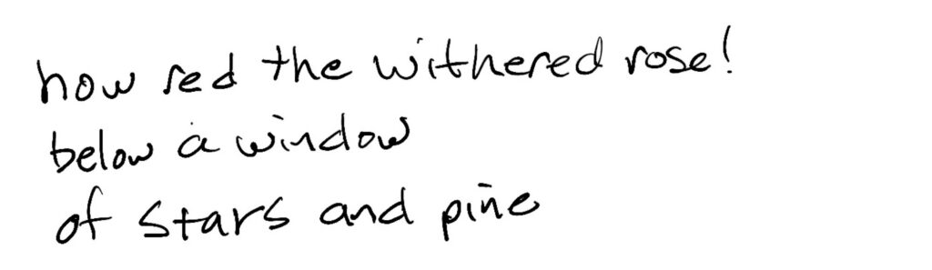 Haiku; how red the withered rose! / below a window / of stars and pine.