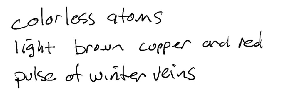 Haiku; colorless atoms / light brown copper and red / pulse of winter veins