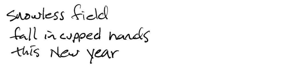 Haiku; snowless field / fall in cupped hands/ this New Year