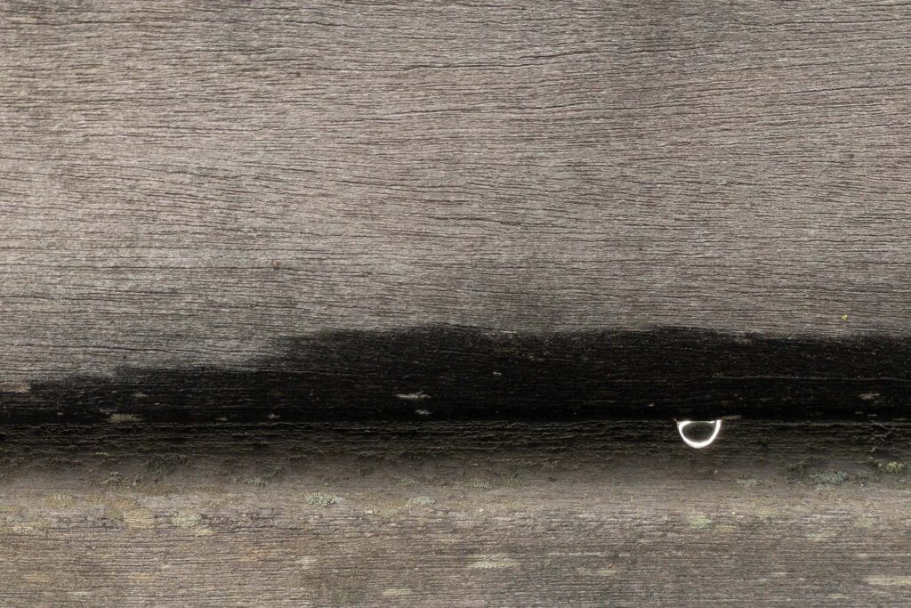 Photograph; A drop of water from melting ice backlit by the sun between the boards of a wooden bench.