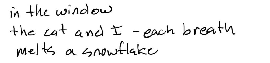 Haiku; in the window / the cat and I —each breath / melts a snowflake