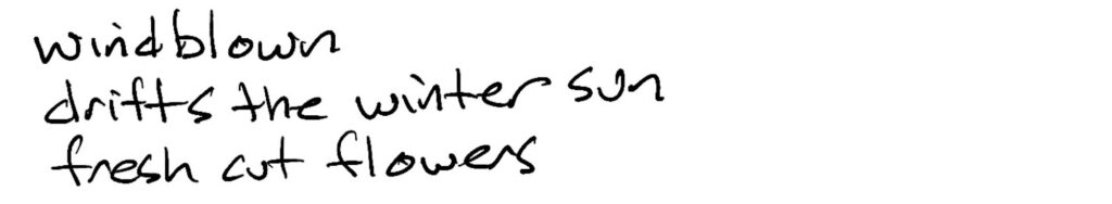 Haiku; windblown / drifts the winter sun / fresh cut flowers