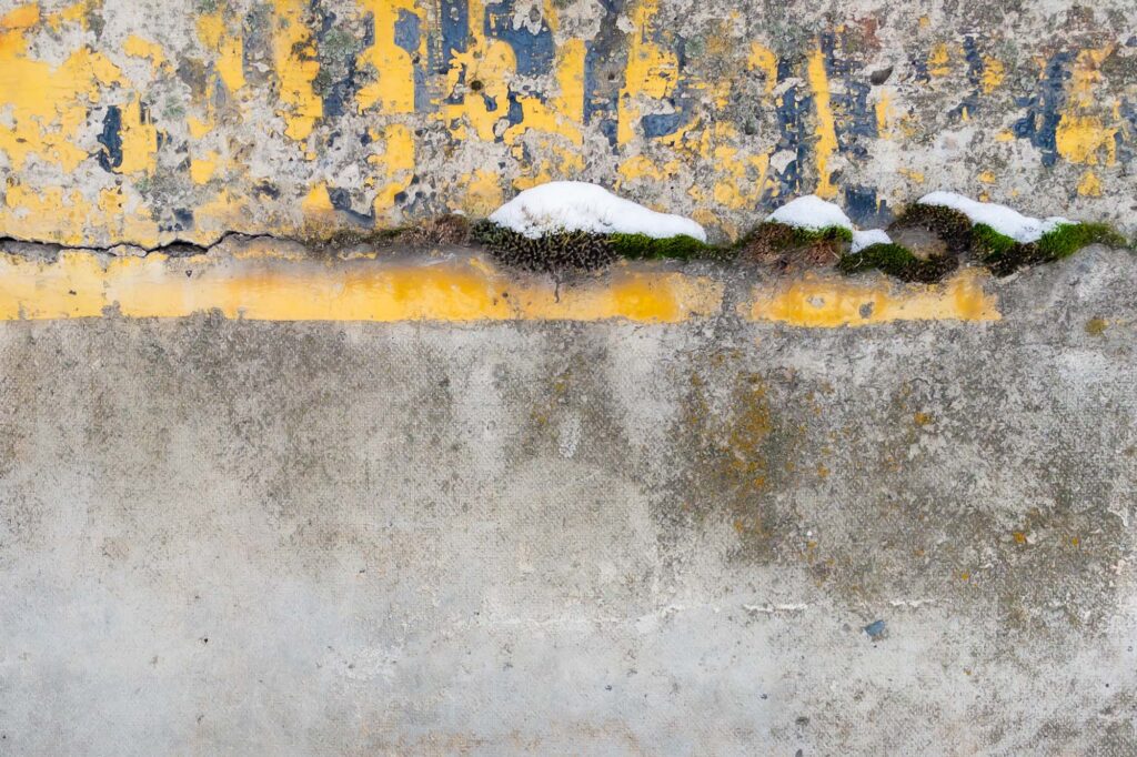 Photograph; in the crack of a cement wall on a loading dock, moss covered with snow in a deteriorating painted sign.