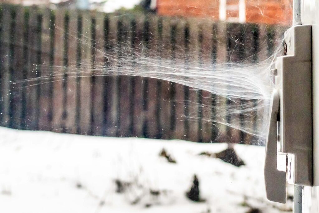 Photograph; in the window an abandoned spider web on the window latch.