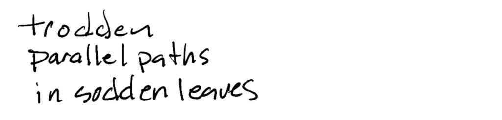 Haiku trodden / parallel paths / in sodden leaves