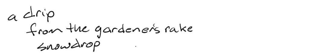Haiku; a drip / from the garner’s rake / snowdrop