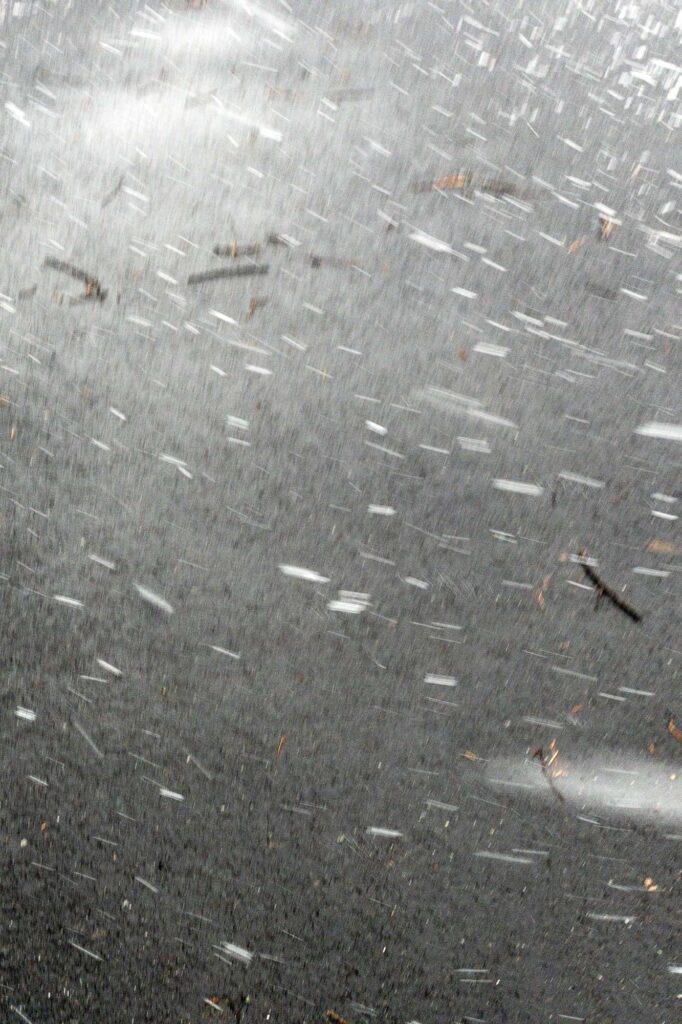 Photograph; Blowing snow swirls over an asphalt pathway littered with sticks and other natural debris.