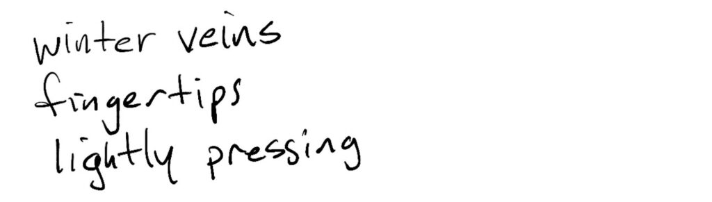 Haiku; winter veins/fingertips/lightly pressing