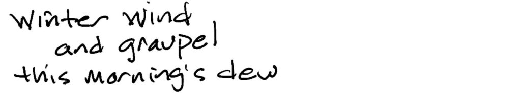 Haiku; winter wind/and graupel/this morning’s dew