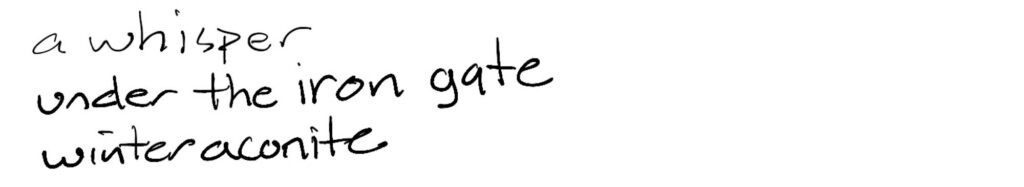 Haiku; a whisper/under the iron gate/winter aconite