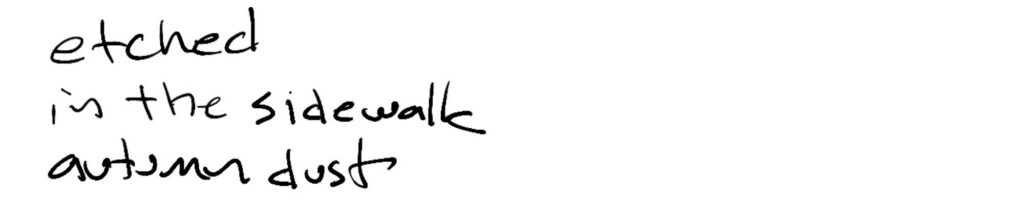 haiku; etched/in the sidewalk/autumn dust