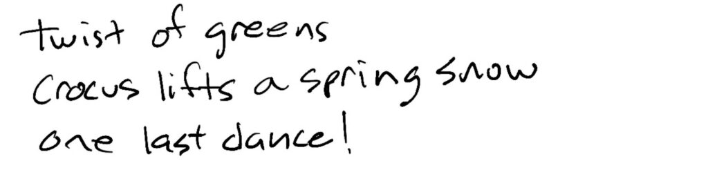 Haiku; twist of greens/crocus lifts a spring snow/one last dance!