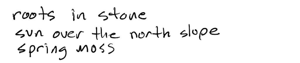 Haiku; roots and stone/sun over the north slope/spring moss