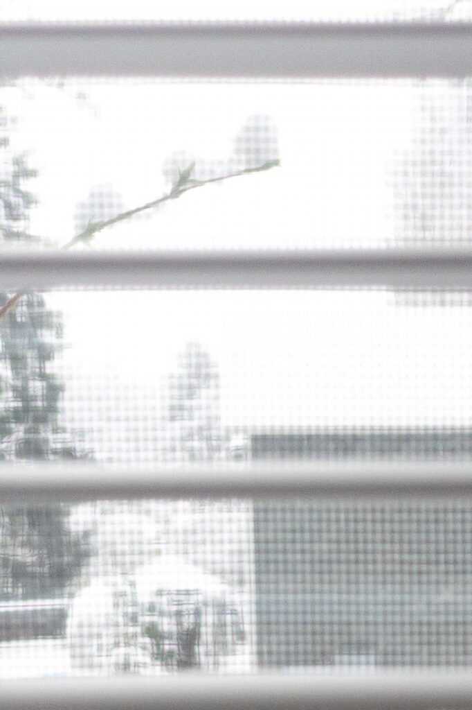 a black and white photograph through window blinds a window screen of a branch with spring buds covered in spring snow