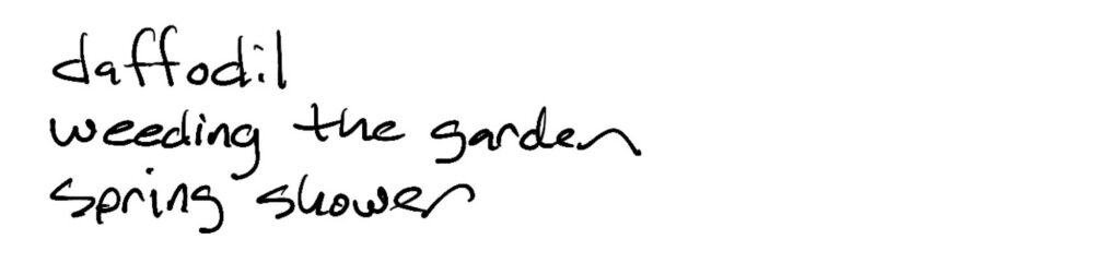 Haiku; daffodil /weeding the garden/spring shower