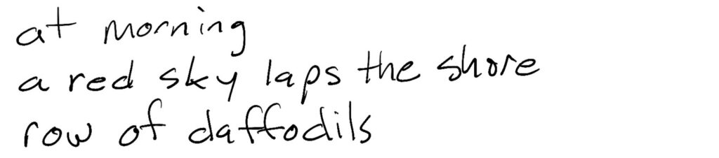 Haiku; at morning/a red sky laps the shor/row of daffodils
