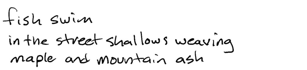 Haiku; fish swim/in the street shallows weaving/maple and mountain ash